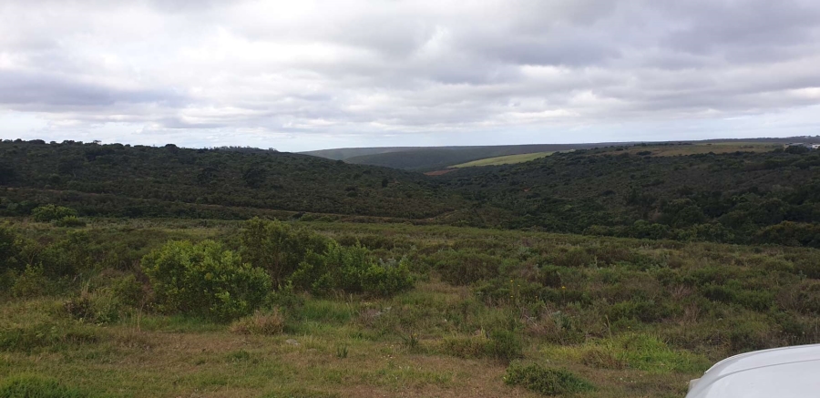 8 Bedroom Property for Sale in Uitenhage Rural Eastern Cape